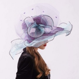 Sun Hats Women's Organza Kentucky Derby Tea Party Hat - Design 2 - Purple & Blue - CY18T03LQMH $17.80