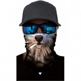 Balaclavas Animal Series Men's Head Scarf Multifunctional Cycling Motorcycle Head Scarf Neck Leggings Balaclava Headband - C0...